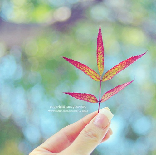 时间在走，你留不住的 治愈系小清新摄影图片_WWW.TQQA.COM