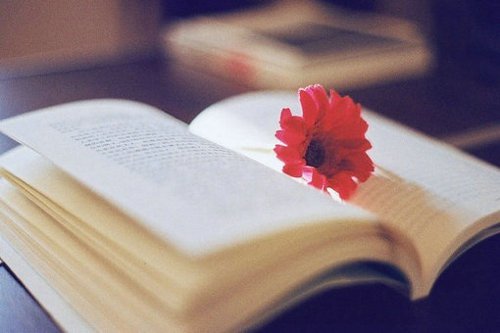 与生俱来的，才是我真正要学的_WWW.TQQA.COM