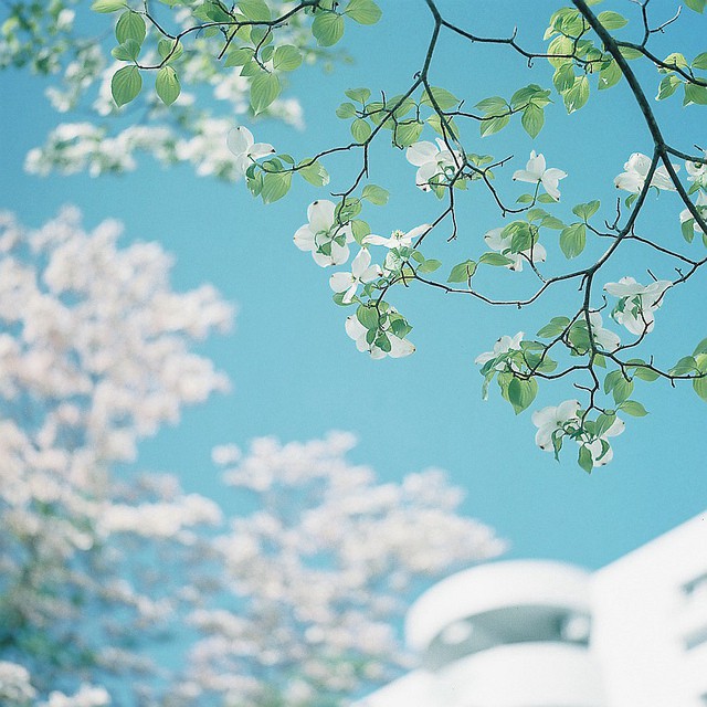 文艺小生活中遇到的场景唯美图片_WWW.TQQA.COM