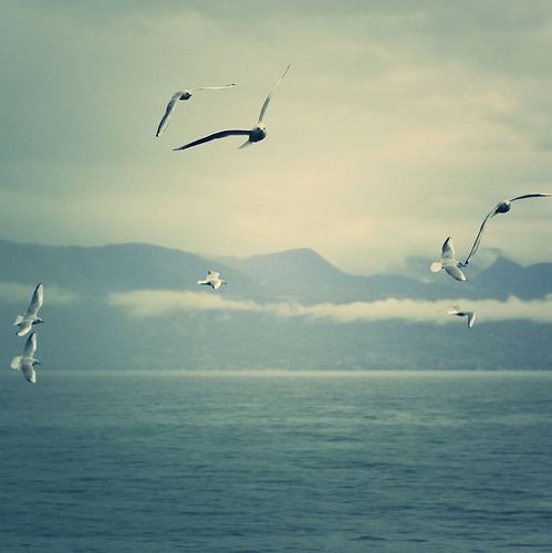 活着不是给别人看的  日系风格海边唯美图片_WWW.TQQA.COM