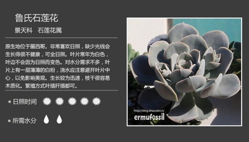 多图详解多肉植物，你懂不呀？_WWW.TQQA.COM
