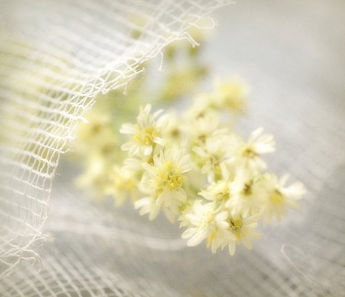 活着，就是幸福_WWW.TQQA.COM