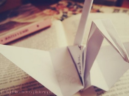 一组温暖入心的千纸鹤题材美图_WWW.TQQA.COM