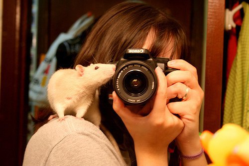 透过别人的眼睛看自己，那才是真实的_WWW.TQQA.COM