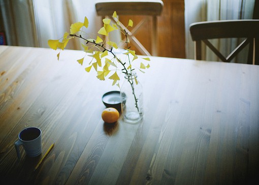 生命短暂，何苦重复昨天_花草静物小清新lomo图片_WWW.TQQA.COM