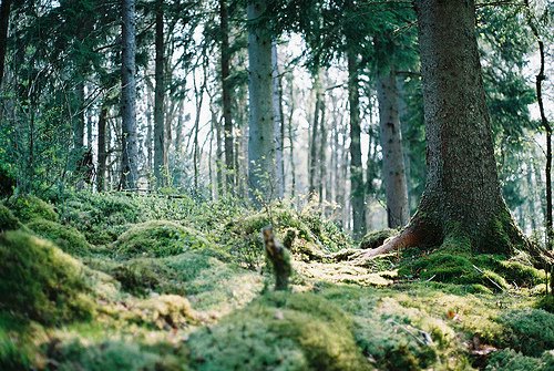 一起回到大自然中去吧_WWW.TQQA.COM