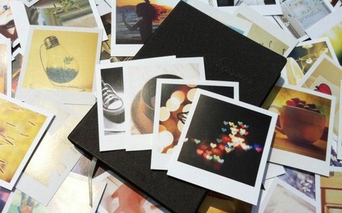 若我们分离我在向日葵花海等你_WWW.TQQA.COM