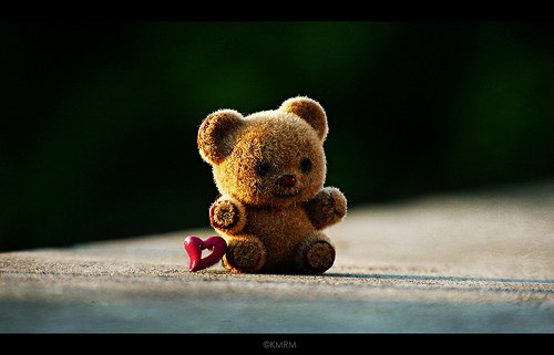 有谁陪着你看尽每一个日出日落_WWW.TQQA.COM