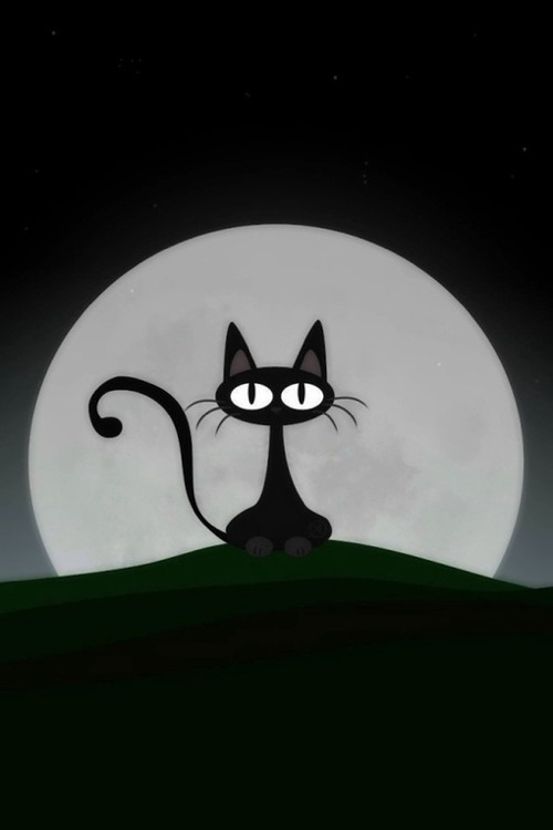 本喵是萌神 萌萌哒的黑猫唯美图片_WWW.TQQA.COM