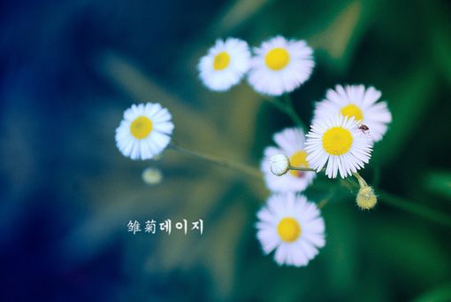 若是笑，就面如春花_WWW.TQQA.COM