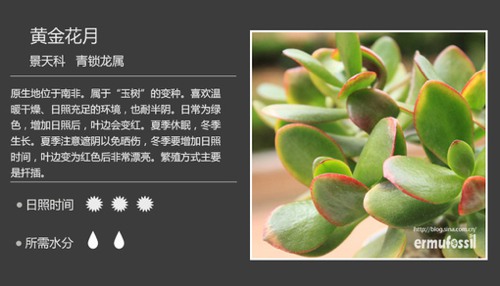 多图详解多肉植物，你懂不呀？_WWW.TQQA.COM