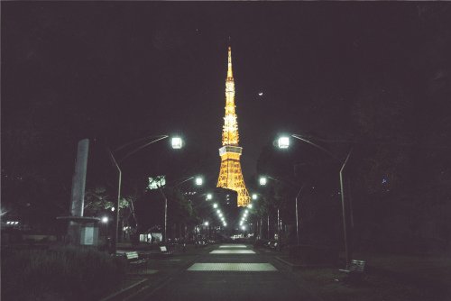 没有一种生命的轮回是命中注定的_WWW.TQQA.COM