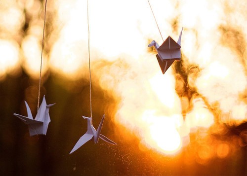 一组温暖入心的千纸鹤题材美图_WWW.TQQA.COM