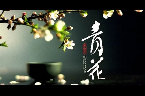 唯美的中国风静物写真_WWW.TQQA.COM