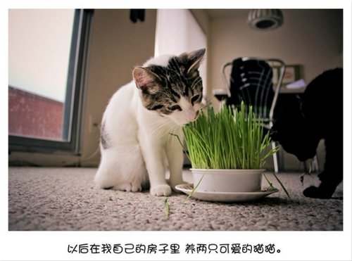 我用阳光洒你笑脸，你用雨露润我心田_WWW.TQQA.COM