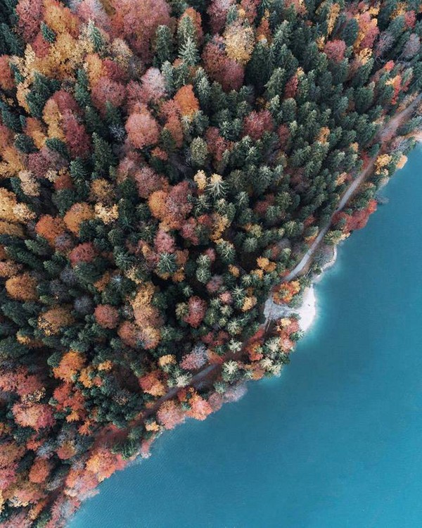 绿意盎然的森林树木的唯美意境图片欣赏_WWW.TQQA.COM