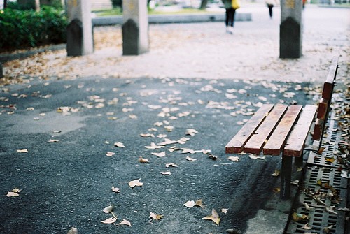 你就浅笑凝眉静立在那景中_WWW.TQQA.COM