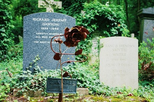 人来人往，慢慢也就习惯了_WWW.TQQA.COM