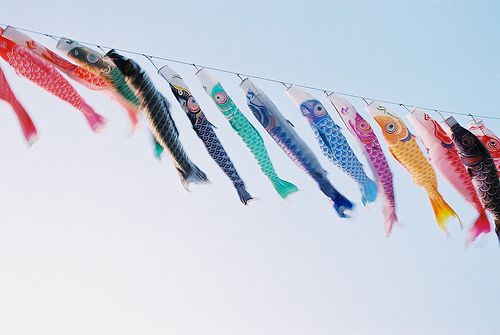 鲤帜_WWW.TQQA.COM
