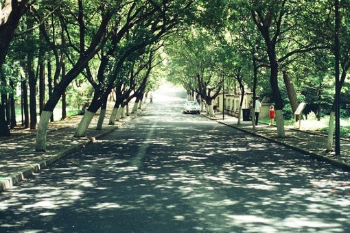 一抹淡淡的旧时光_日系小清新的治愈系阳光美图_WWW.TQQA.COM