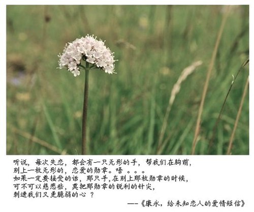 我以为我把你从记忆中删除掉了_WWW.TQQA.COM