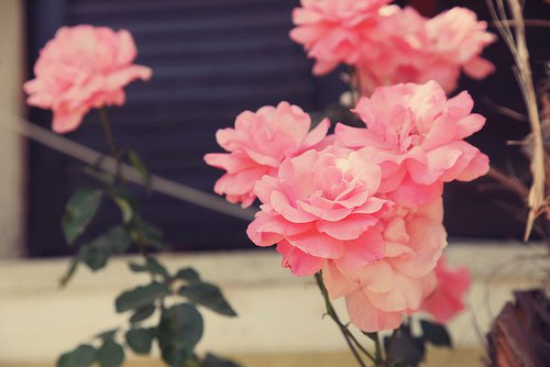 出发，才能到达_WWW.TQQA.COM