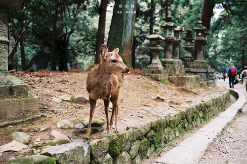 在那样的年华里，我们曾经遇见谁_WWW.TQQA.COM