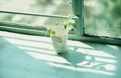 一组简单且安静的LOMO图片_WWW.TQQA.COM