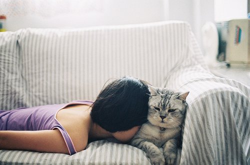 来～猫咪，跟我一起走吧_WWW.TQQA.COM