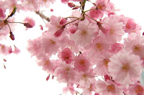 你要做得更好，要生长，要等待_WWW.TQQA.COM