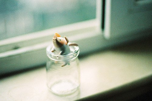 只是因为我们还足够年轻_WWW.TQQA.COM