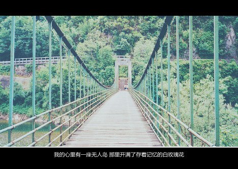 量贩一组安静系小清新图片_WWW.TQQA.COM