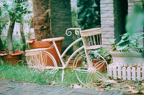 从今后，你是锦瑟，我为流年_WWW.TQQA.COM