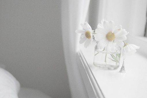 一路上或鲜花盛开，或落英缤纷_WWW.TQQA.COM