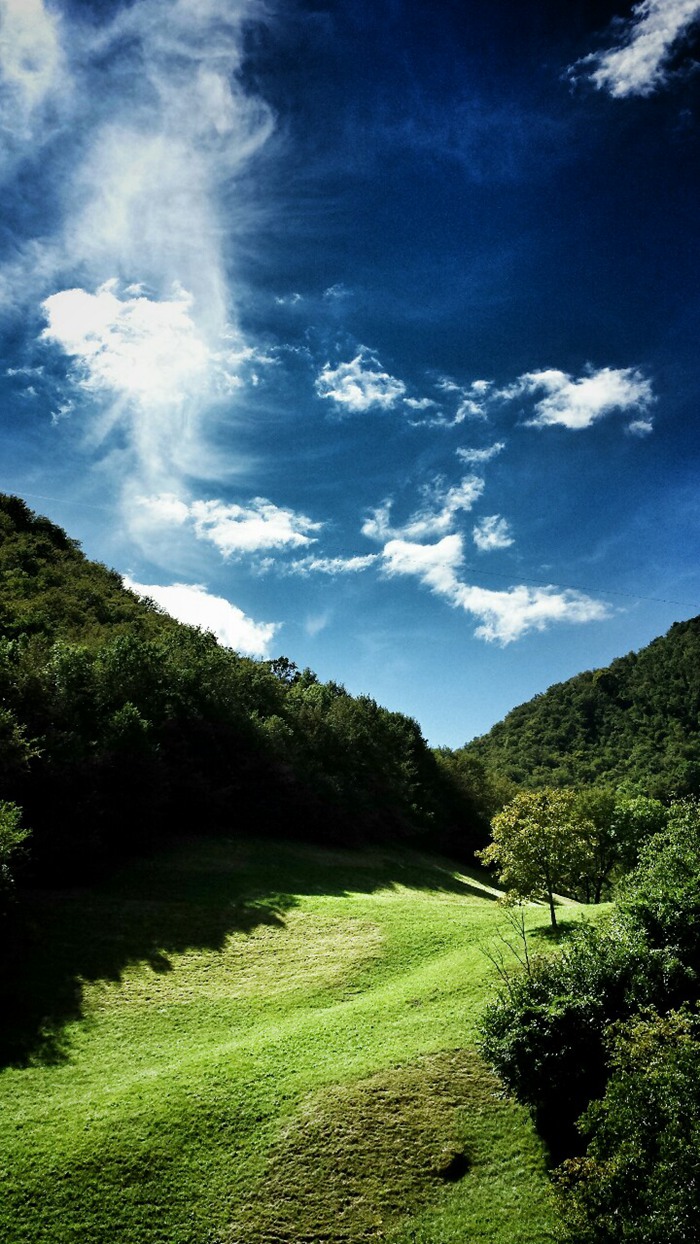 美入心房的小清新高清风光图片_WWW.TQQA.COM