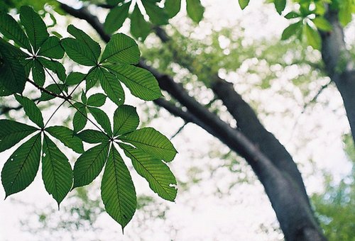 美好的事物，总是会令人感到虚无_WWW.TQQA.COM