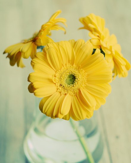 你未看此花时，此花与汝心同归于寂_WWW.TQQA.COM