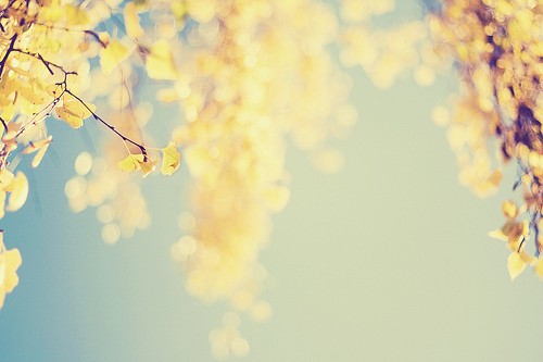 梵花劫_WWW.TQQA.COM