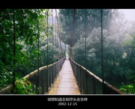 慢慢的，我开始习惯于不再做梦_WWW.TQQA.COM