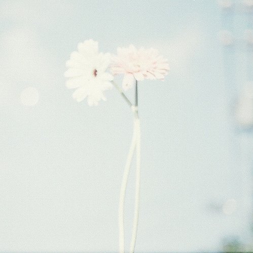 人生没有意外_WWW.TQQA.COM