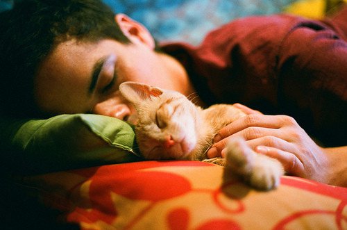 美图：爱猫的人都有一个细腻的灵魂_WWW.TQQA.COM