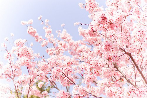 你要做得更好，要生长，要等待_WWW.TQQA.COM