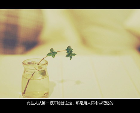 那些我没来得及说出的话  治愈系小清新图片带字_WWW.TQQA.COM