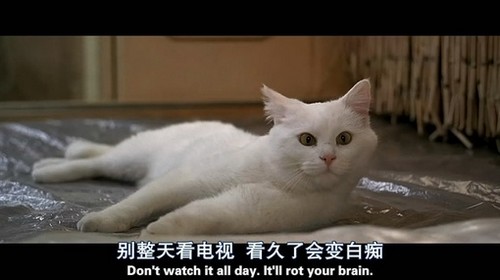一句台词惊艳一部电影_WWW.TQQA.COM