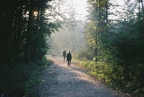 一起回到大自然中去吧_WWW.TQQA.COM