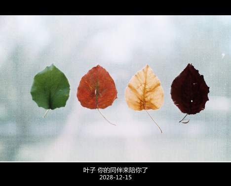 你希望我们还是原来的自己吗_WWW.TQQA.COM
