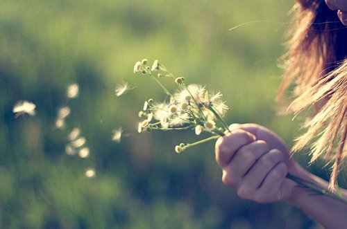 你可以装傻，但不可以不放下 -小清新图片_WWW.TQQA.COM