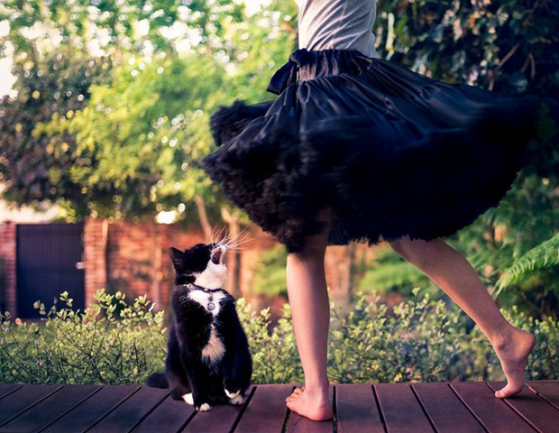 9张日系慵懒的优美猫咪猫的图片_WWW.TQQA.COM