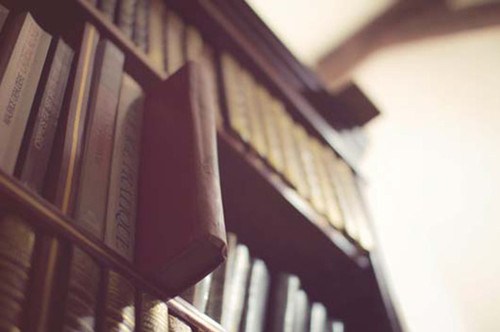 读书，享受世界宁静的那一刻_WWW.TQQA.COM