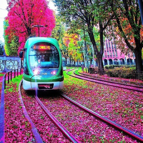 花香已满径 开满鲜花的路_WWW.TQQA.COM